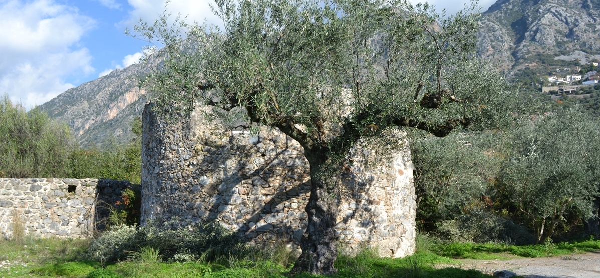 Wall of Verga