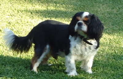 about12 image