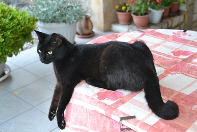 about14 image