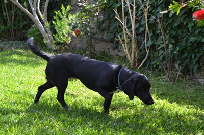 about20 image