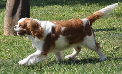 about7 image
