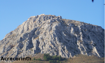 acorninth1 image