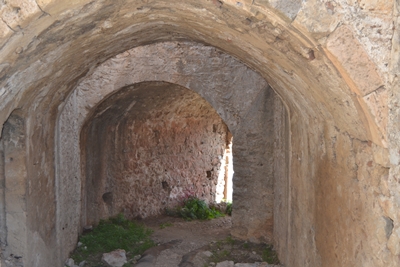 acron6 image