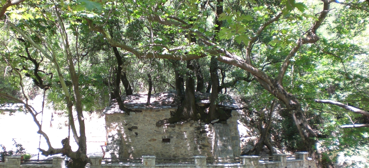 Agia Theodora