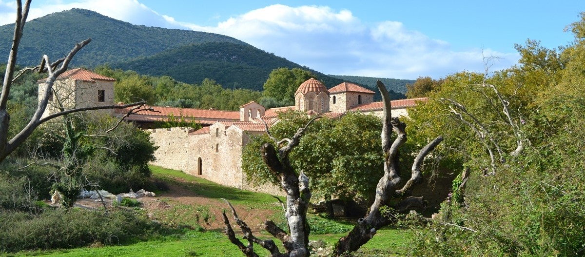 Andromonastiro