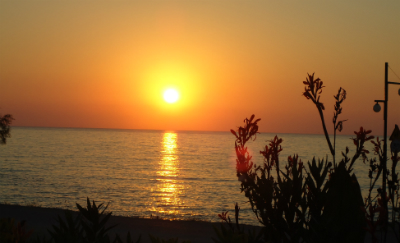 beach7 image