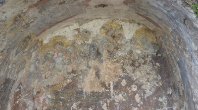 cata12 image