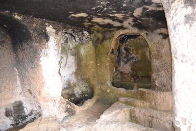 cata5 image