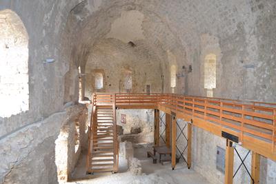 chlem11a image