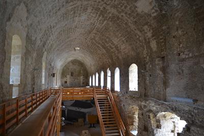 chlem12a image