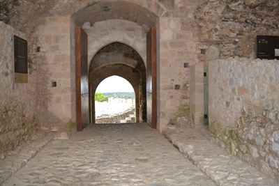 chlem35a image