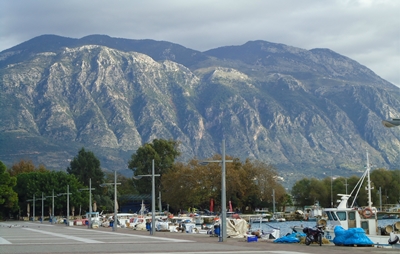 kal22 image