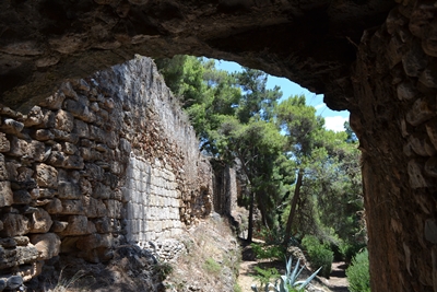 kalamata11a image