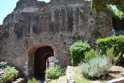 kalamata6a image