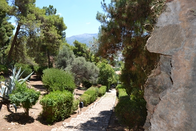 kalamata9a image