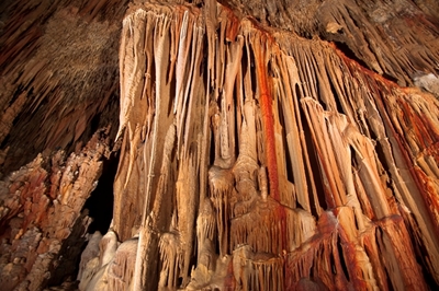 kastania10a image