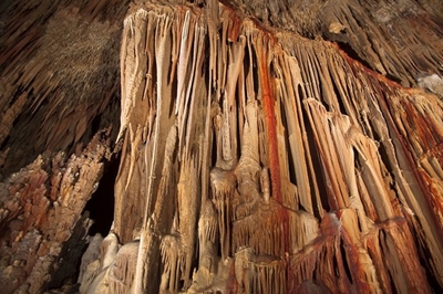 kastania5a image