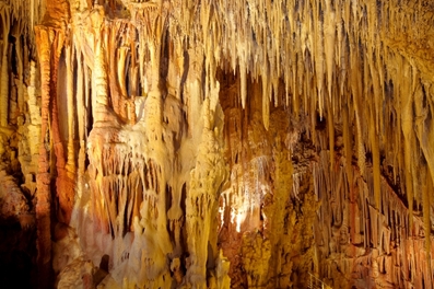 kastania6a image