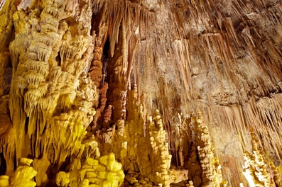 kastania7a image