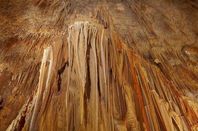 kastania8a image