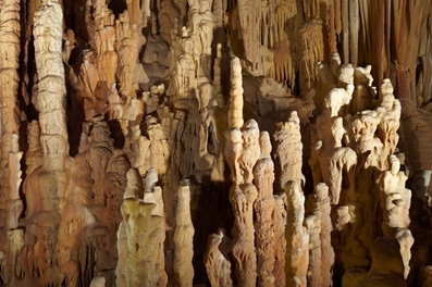 kastania9a image
