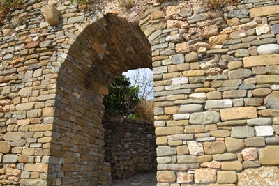 koroni4 image