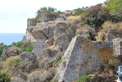 koroni5 image