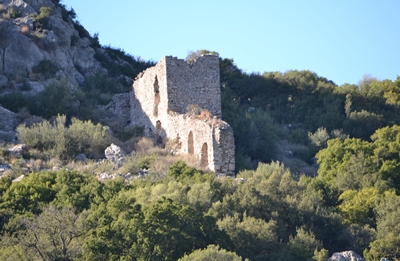 krebeni1 image