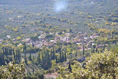 krebeni3 image