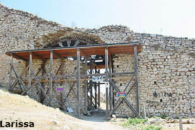 larissa4a image