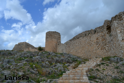 larissa5a image