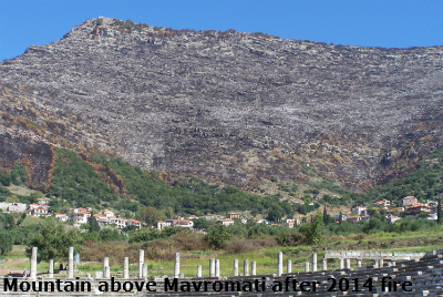 mavrom1 image