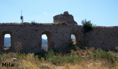 mila3a image