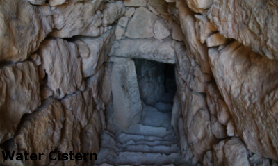 mycen9 image