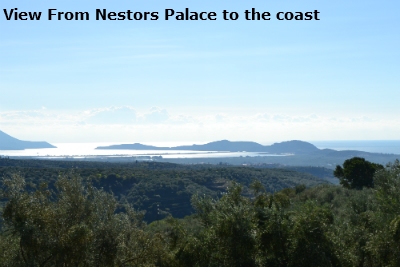 nestor1 image