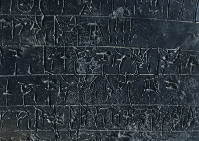 nestor17 image