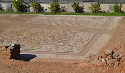 odeion9 image