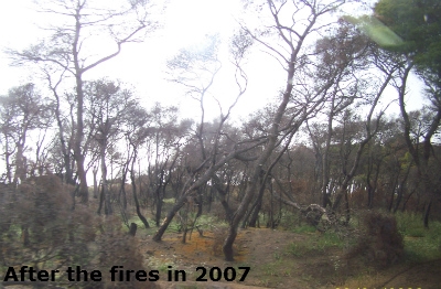 others3 image