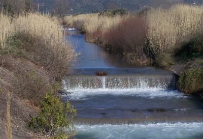 others4 image