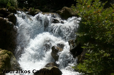 others5 image