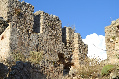 paleokas10 image
