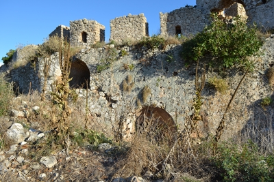 paleokas11 image