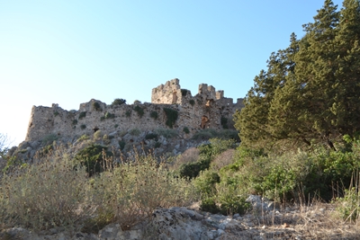 paleokas5 image