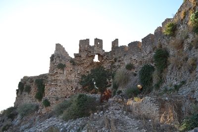 paleokas6 image