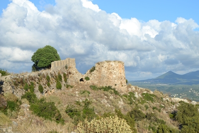 paleokas8 image
