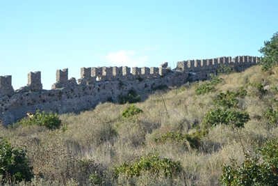 paleokas9 image