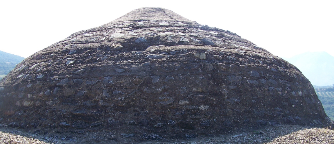Peristeria
