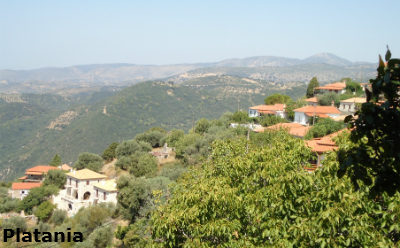 platania1 image