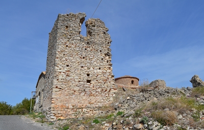 polichni2 image