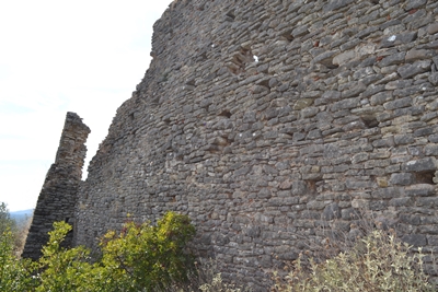 polichni5 image